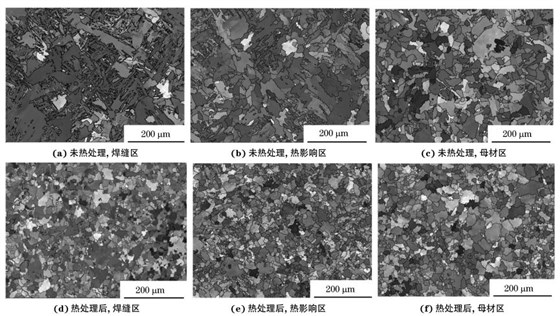 圖２ 熱處理前后焊接接頭焊縫區(qū)、熱影響區(qū)和母材區(qū)的取向成像圖