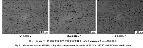 圖６ 在９８０ ℃、不同應(yīng)變速率下壓縮至應(yīng)變量為７０％