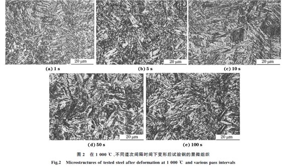 圖２ 在１０００ ℃、不同道次間隔時間下變形后試驗鋼的顯微組織