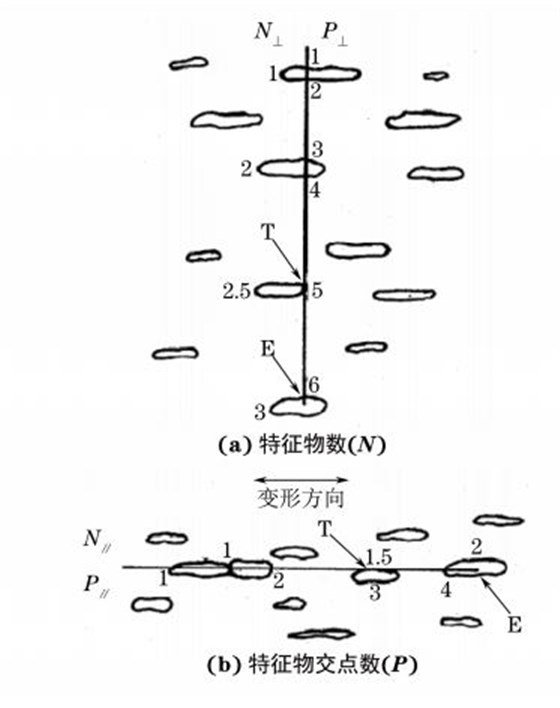 圖2 顯微組織的特征物數(shù)(N)和特征物交點(diǎn)數(shù)(P)計(jì)算示意圖 圖2 顯微組織的特征物數(shù)(N)和特征物交點(diǎn)數(shù)(P)計(jì)算示意圖