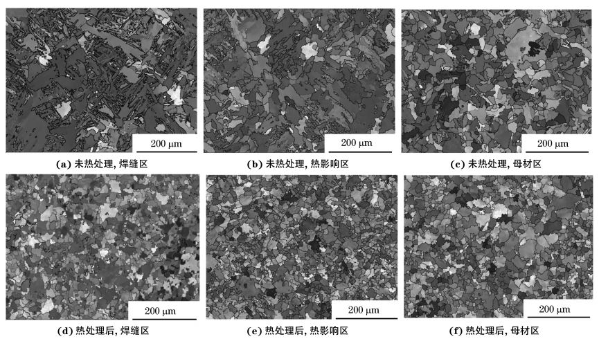 圖２ 熱處理前后焊接接頭焊縫區(qū)、熱影響區(qū)和母材區(qū)的取向成像圖