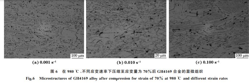 圖６ 在９８０ ℃、不同應(yīng)變速率下壓縮至應(yīng)變量為７０％