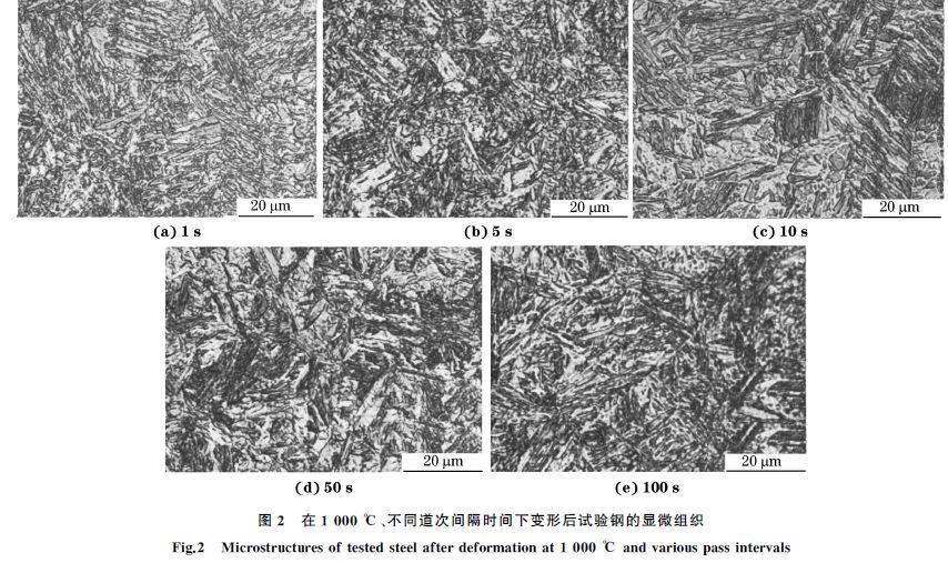 圖２ 在１０００ ℃、不同道次間隔時(shí)間下變形后試驗(yàn)鋼的顯微組織