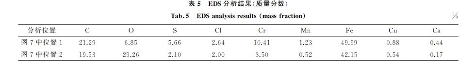 表５ EDS分析結果(質(zhì)量分數(shù))